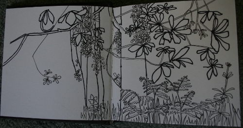 Dummer Copse